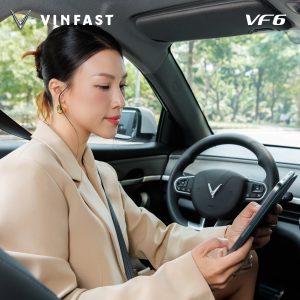 VF 6