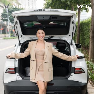 VF 6